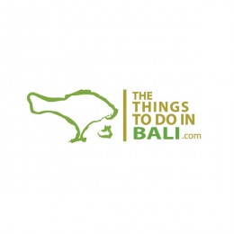 the things to do in bali : villa logo : logo design : bali logo design